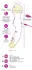 You2Toys Warming Double-Ended Flexible Vibe Pink 22.2cm USB Rechargeable