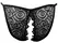 HookUp Panties Remote Lace Briefs S-L with Wireless Vibration System