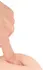 Nature Skin Flexible Model 17cm with Suction Cup, TPE, Beige