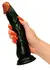 You2Toys European Lover 23 cm Anatomical Model with Suction Cup, PVC