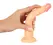 You2Toys European Lover Small Intimate Model with Suction Cup 18cm