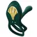 ZALO Bayek Intimate Wearable System Turquoise Green, 8 Modes, Remote