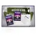 SexVentures Sex O Soccer Couples Football Board Game Multilingual Set