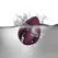Rocks-Off Knickerbocker Glory Remote Control Intimate Device - Pink Silicone