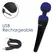 PalmPower Recharge Wand Massager Blue - Cordless Waterproof Model
