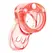 CB-X CB-3000 Intimate Control Cage Red 37 mm Adjustable System