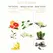 Eye of Love After Dark Pheromone Perfume for Women - Floral & Vanilla 10ml