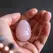 La Gemmes Yoni Egg Medium Rose Quartz - Natural Gemstone Wellness Trainer