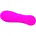 Swan Mini Swan Rose Intimate Silicone Stimulator USB Waterproof Pink