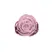 Pillow Talk Rosy Glass Plug Pink Rose Base + Bonus PowerBullet Set