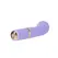 Pillow Talk Racy Lilac Mini Massager - Special Edition with Accessories