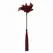 Sportsheets S&M Enchanted Feather Tickler - Dual Texture, 57 cm