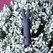Je Joue Rabbit Bullet Compact Vibrating Device, 5 Speeds, Waterproof