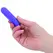 PowerBullet Essential Rechargeable Model with Storage Case Purple