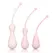 CalExotics Inspire Silicone Weighted Kegel Training Kit Pink 3-Piece