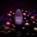 LELO Lily 2 Intimate Massager Bordeaux & Chocolat, Compact, Scented, Plum