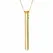 Crave Vesper Gold 24K Plated Necklace - Elegant Discreet Intimate Device