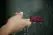 Crave Duet Vibrator Crimson - Dual-Tip Waterproof Personal Massager