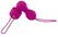 Nomi Tang IntiMate Kegel Training Set Red Violet - Ergonomic Design