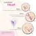 Ladyshape Heart Bikini Shaping Tool Set with Precision Razors