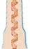 Fleshlight Fantasy Lexi Amakura intimni rukav Anime Edition 25cm